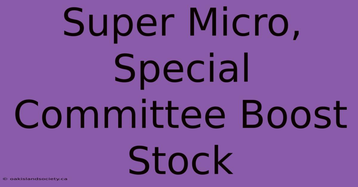 Super Micro, Special Committee Boost Stock