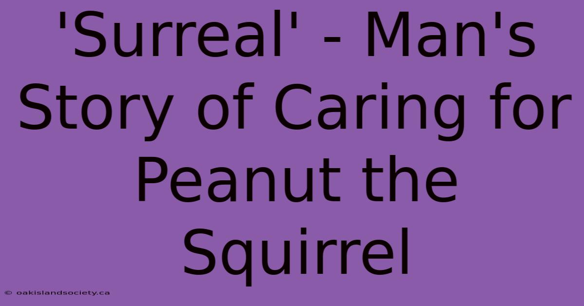 'Surreal' - Man's Story Of Caring For Peanut The Squirrel