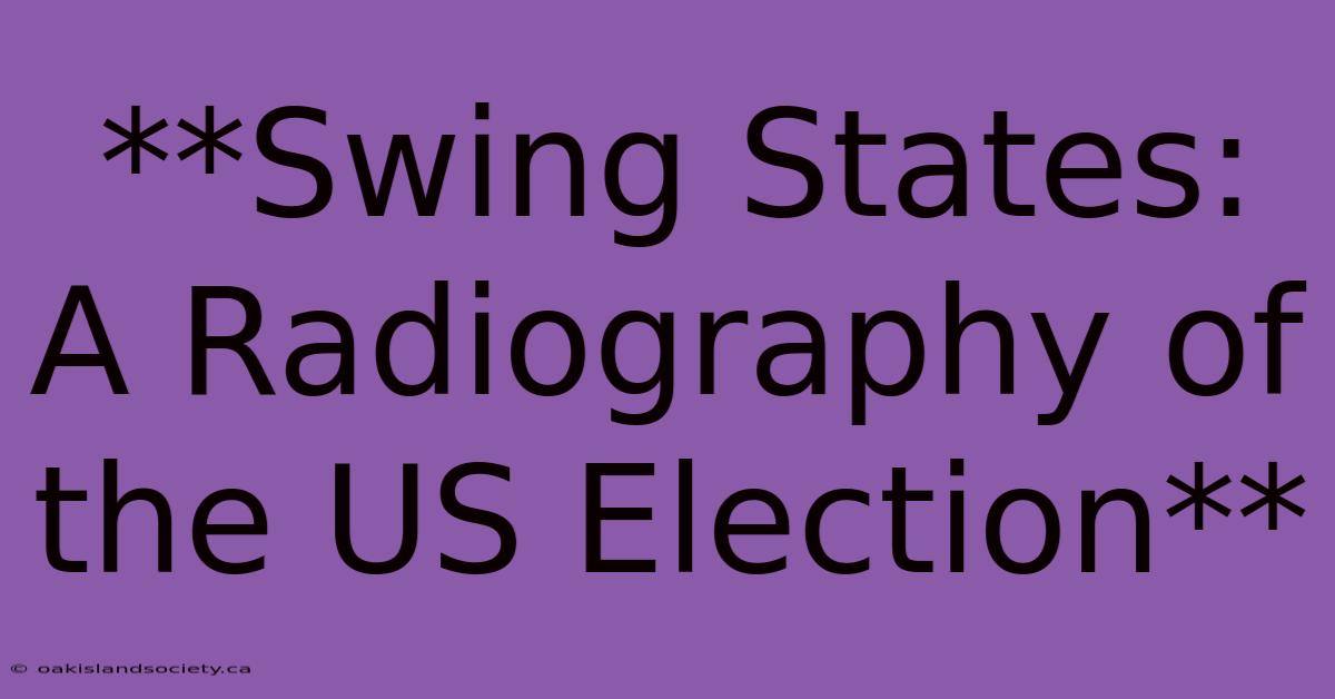 **Swing States: A Radiography Of The US Election**