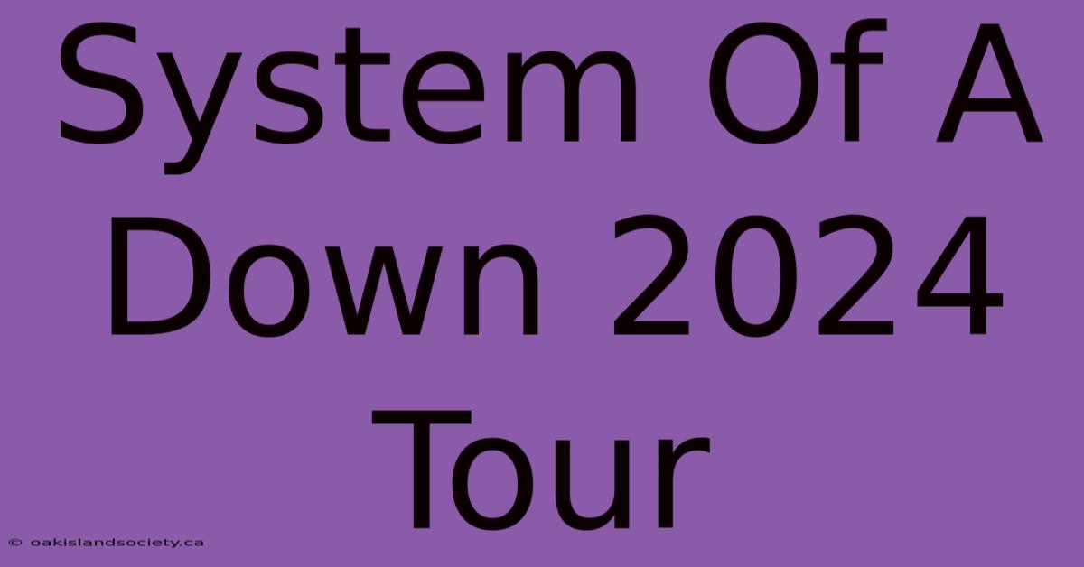 System Of A Down 2024 Tour