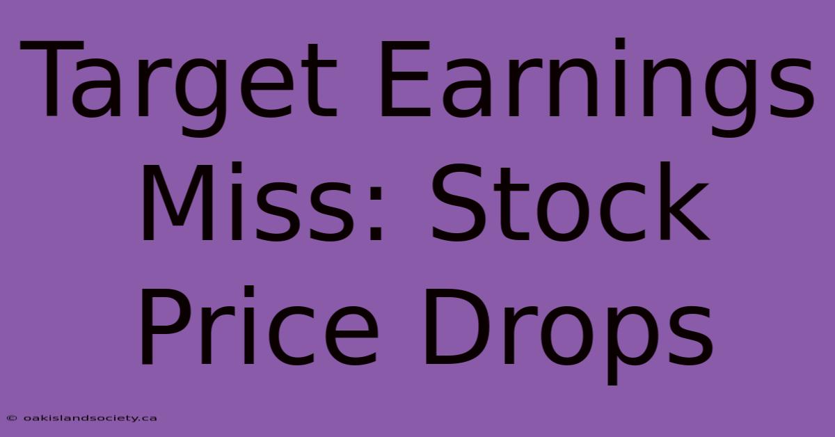 Target Earnings Miss: Stock Price Drops