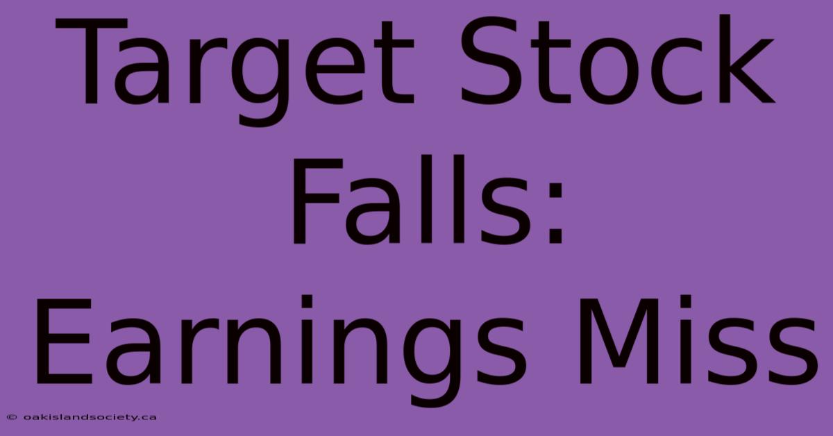 Target Stock Falls: Earnings Miss