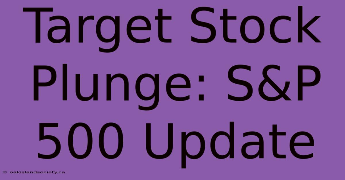 Target Stock Plunge: S&P 500 Update