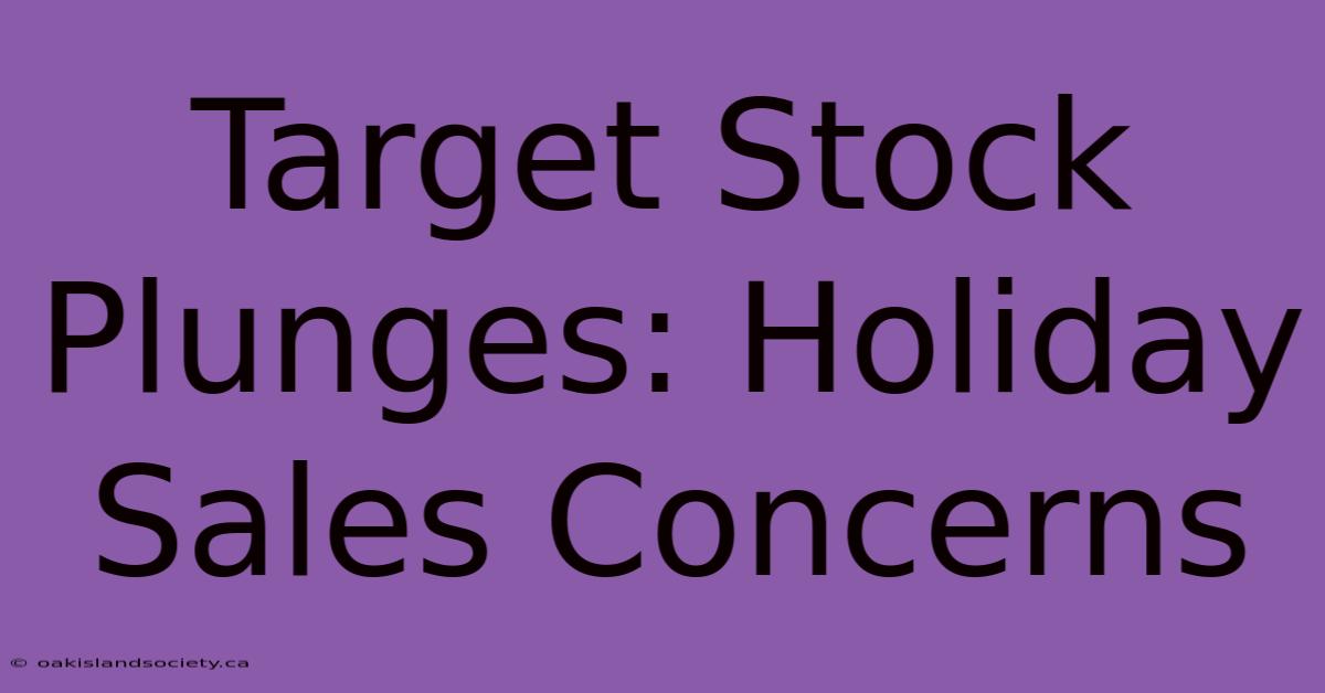 Target Stock Plunges: Holiday Sales Concerns