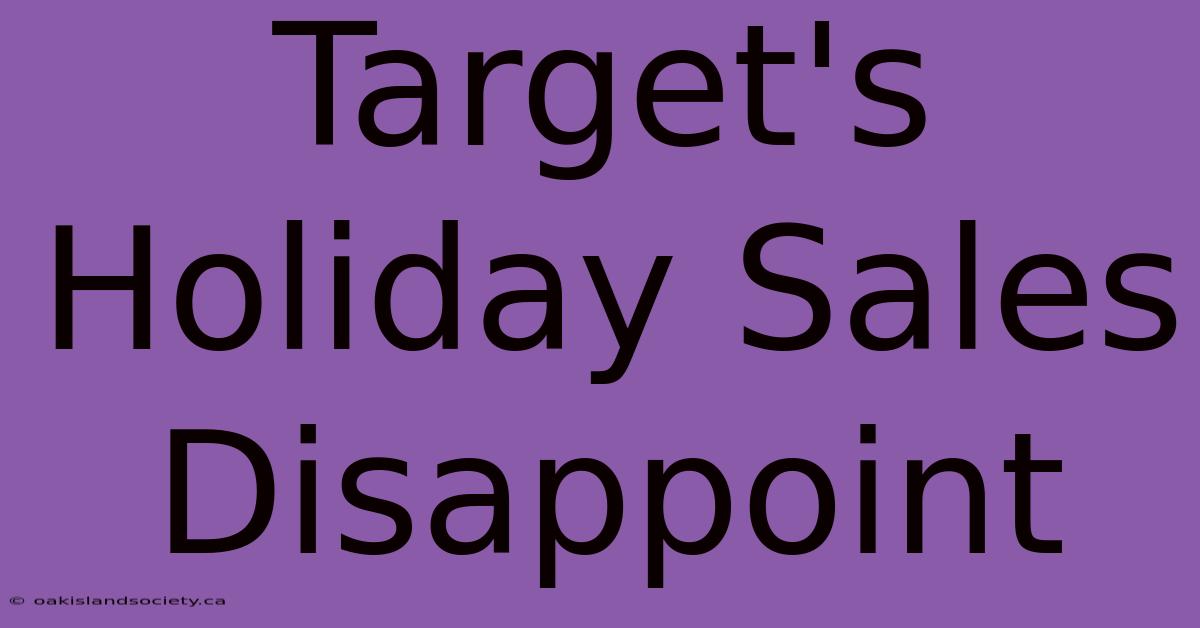 Target's Holiday Sales Disappoint