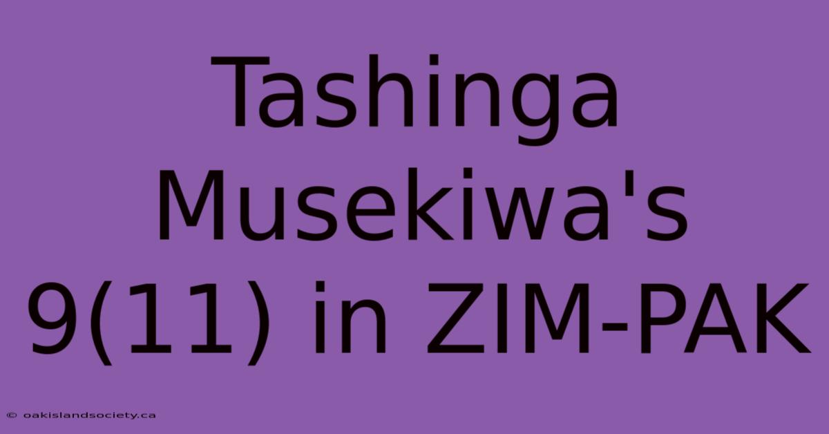 Tashinga Musekiwa's 9(11) In ZIM-PAK