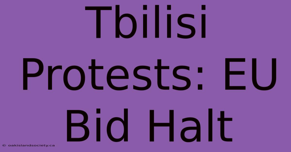 Tbilisi Protests: EU Bid Halt