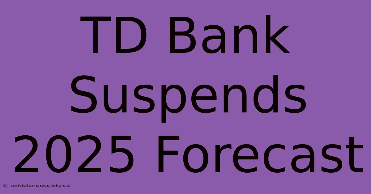 TD Bank Suspends 2025 Forecast