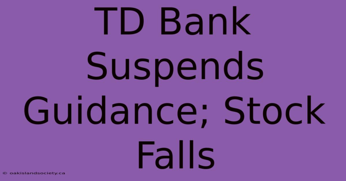 TD Bank Suspends Guidance; Stock Falls