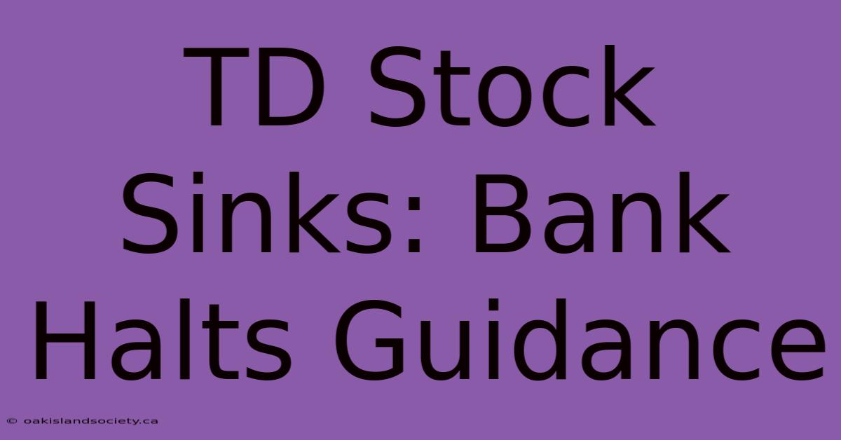 TD Stock Sinks: Bank Halts Guidance