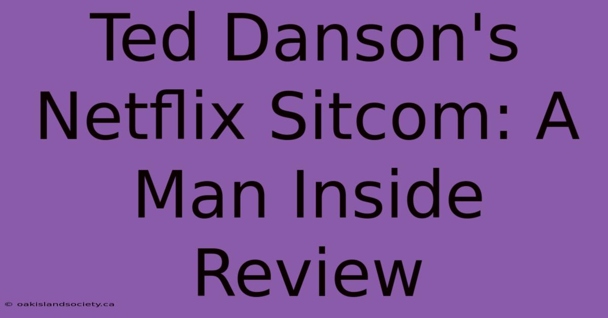 Ted Danson's Netflix Sitcom: A Man Inside Review