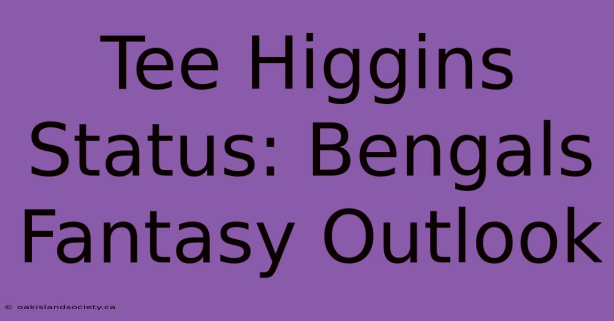 Tee Higgins Status: Bengals Fantasy Outlook 