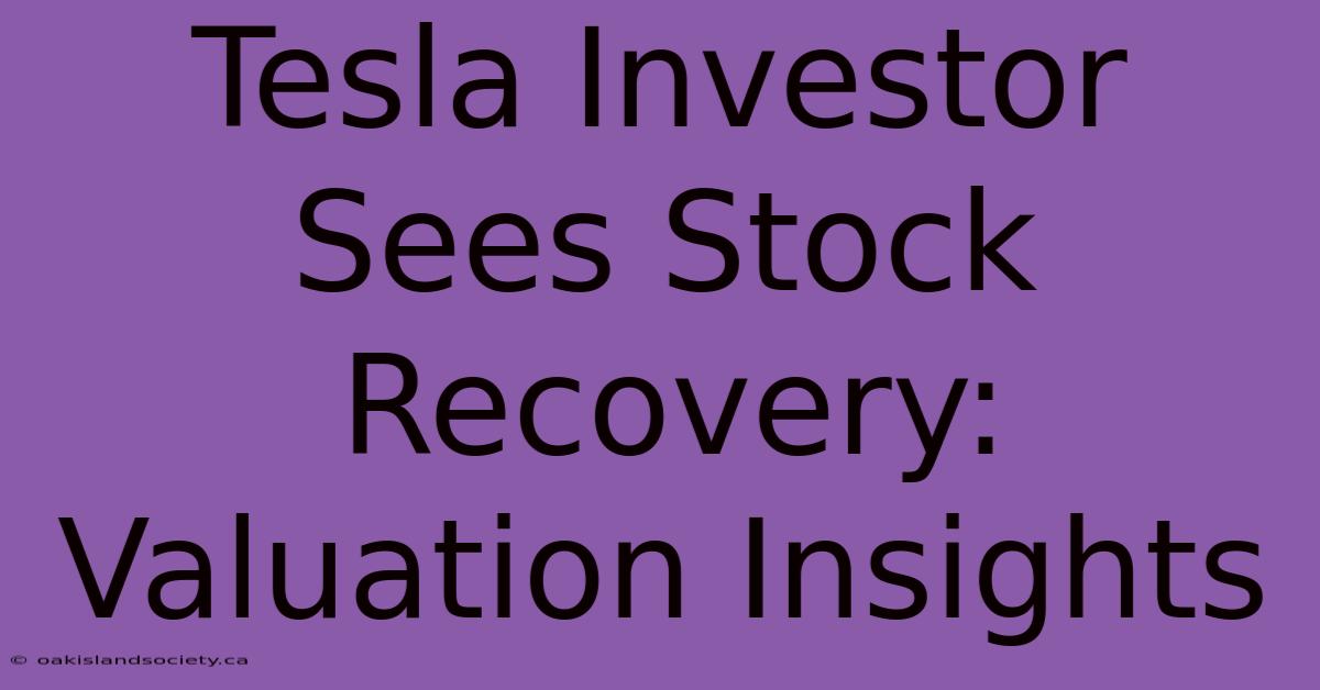 Tesla Investor Sees Stock Recovery: Valuation Insights