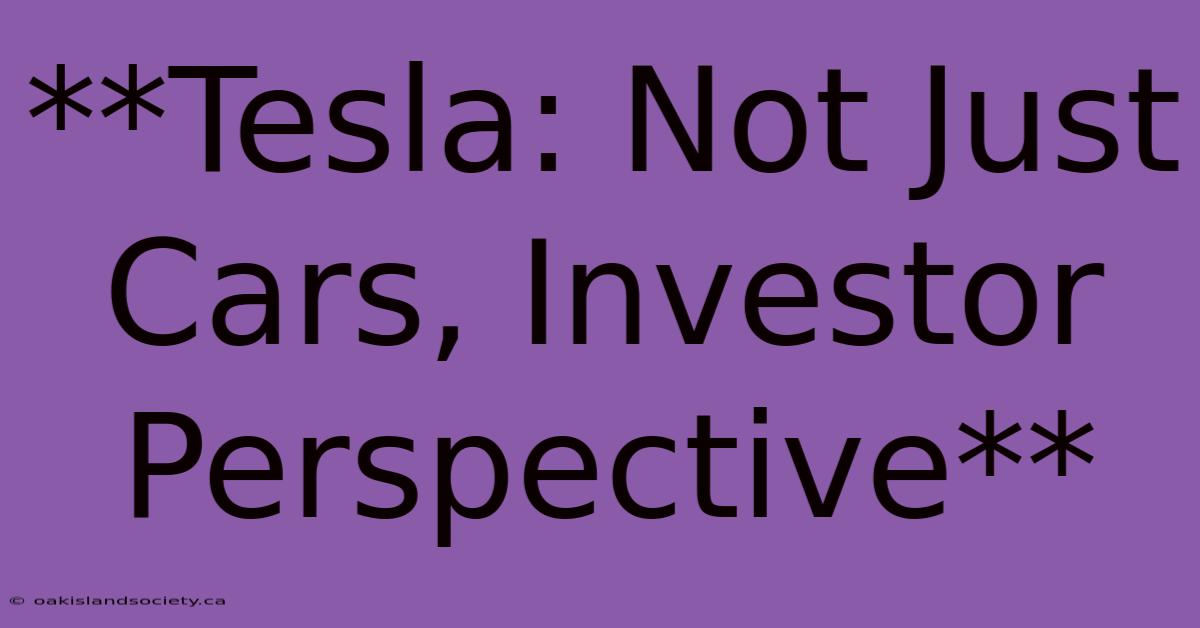 **Tesla: Not Just Cars, Investor Perspective** 