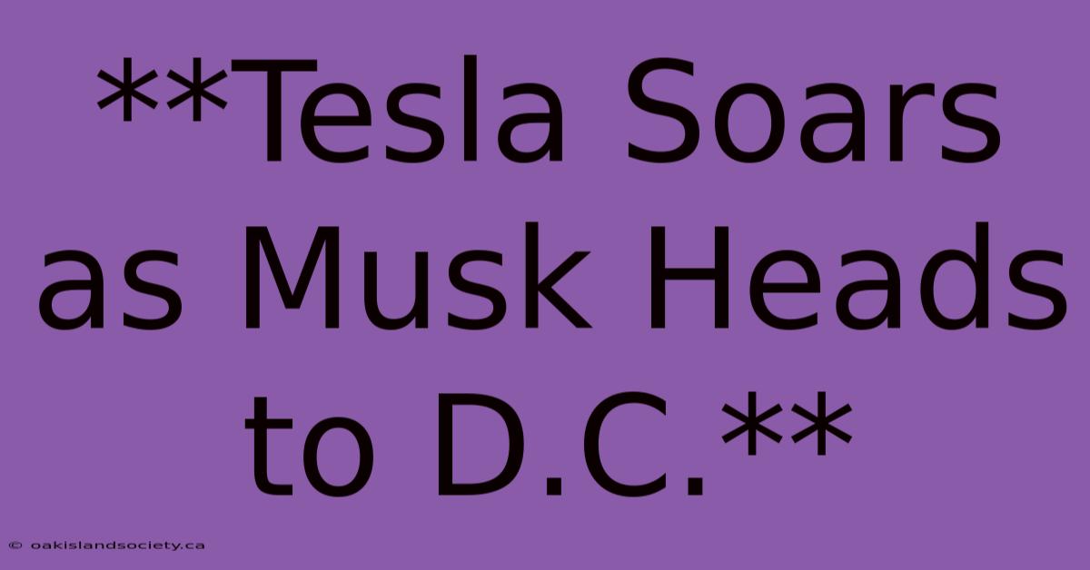 **Tesla Soars As Musk Heads To D.C.** 