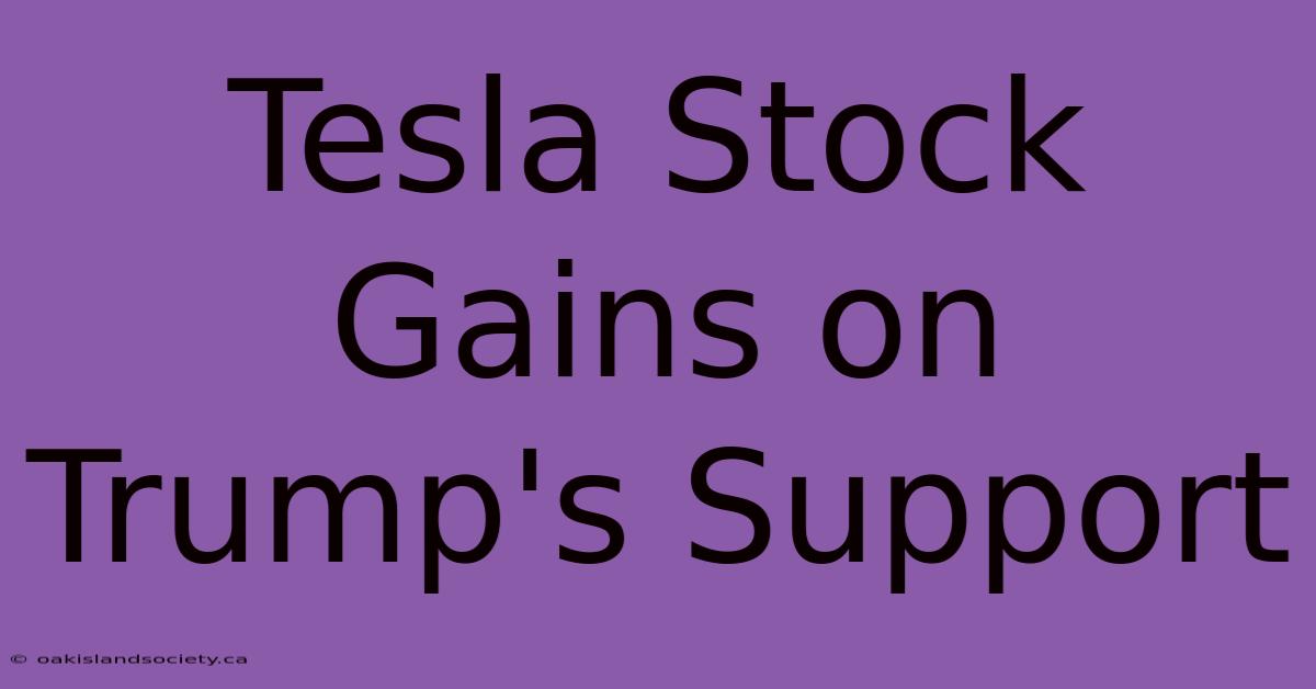 Tesla Stock Gains On Trump's Support 