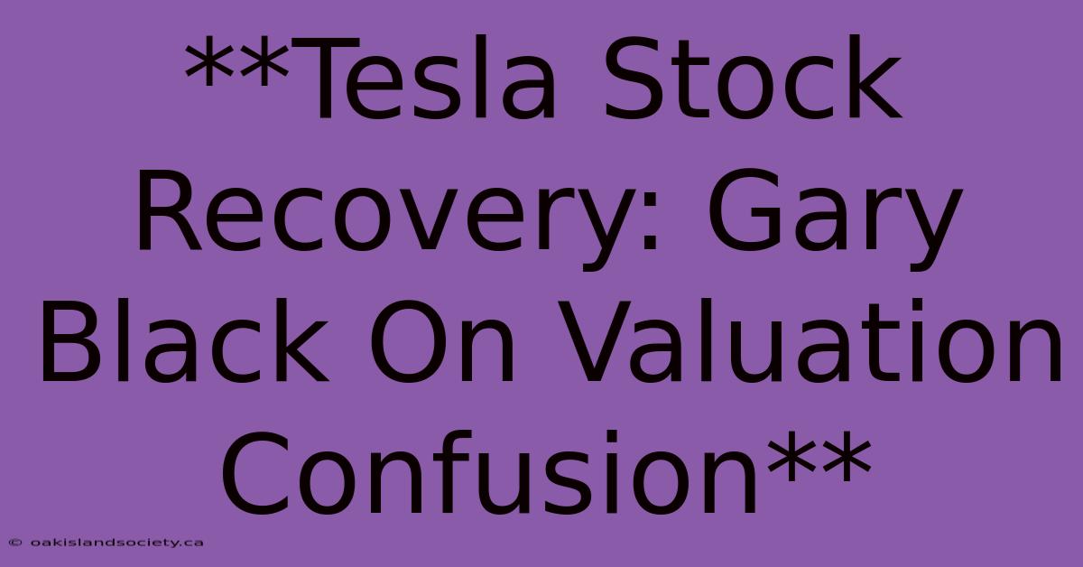 **Tesla Stock Recovery: Gary Black On Valuation Confusion** 