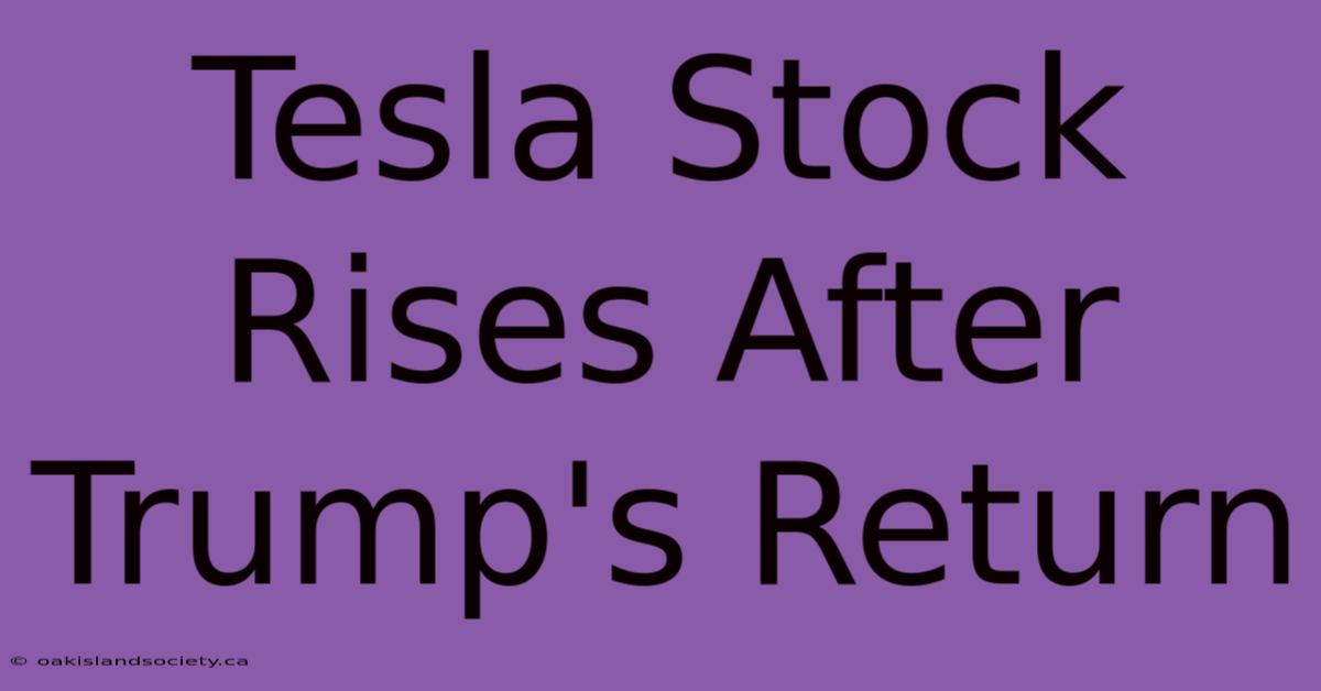 Tesla Stock Rises After Trump's Return