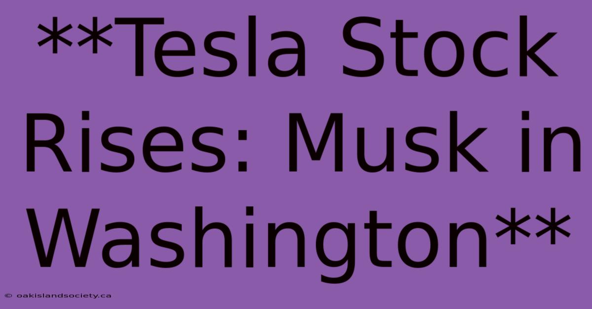 **Tesla Stock Rises: Musk In Washington**