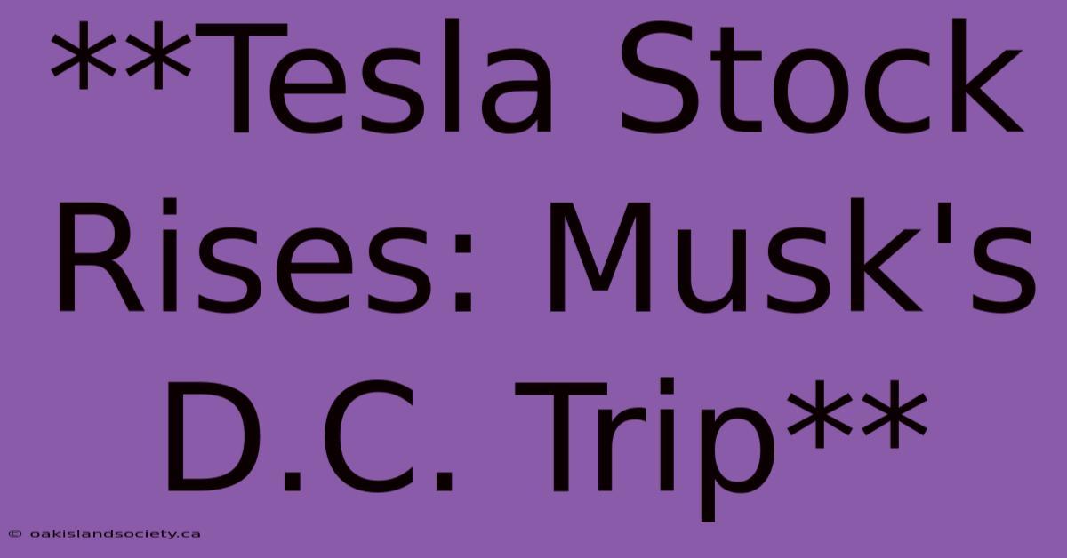 **Tesla Stock Rises: Musk's D.C. Trip**