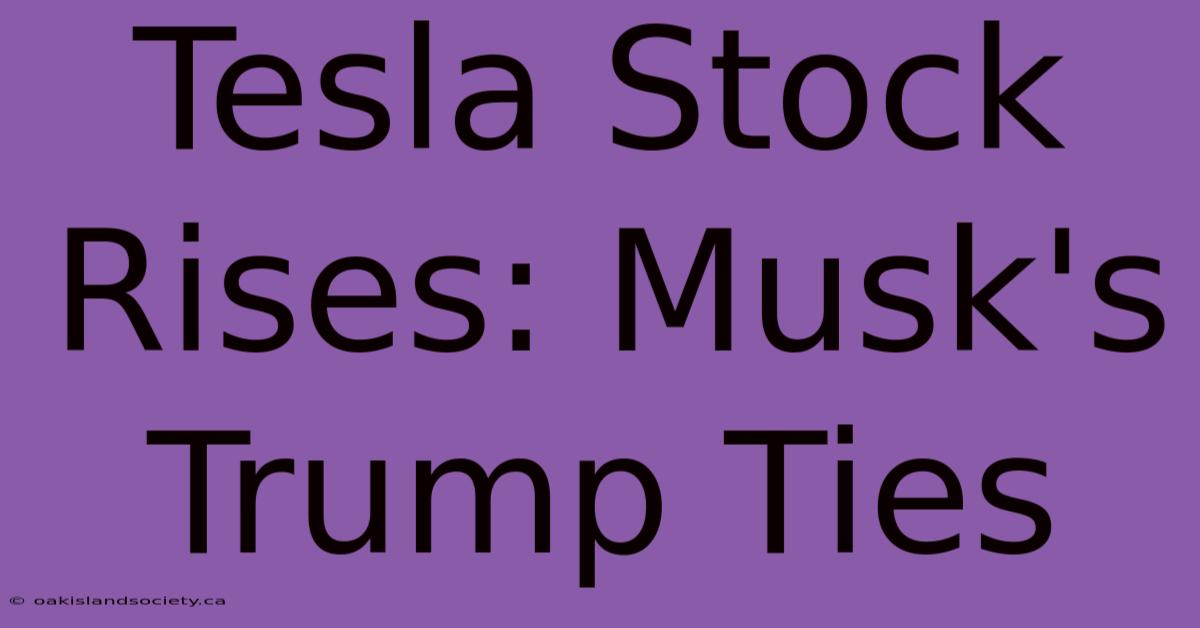 Tesla Stock Rises: Musk's Trump Ties