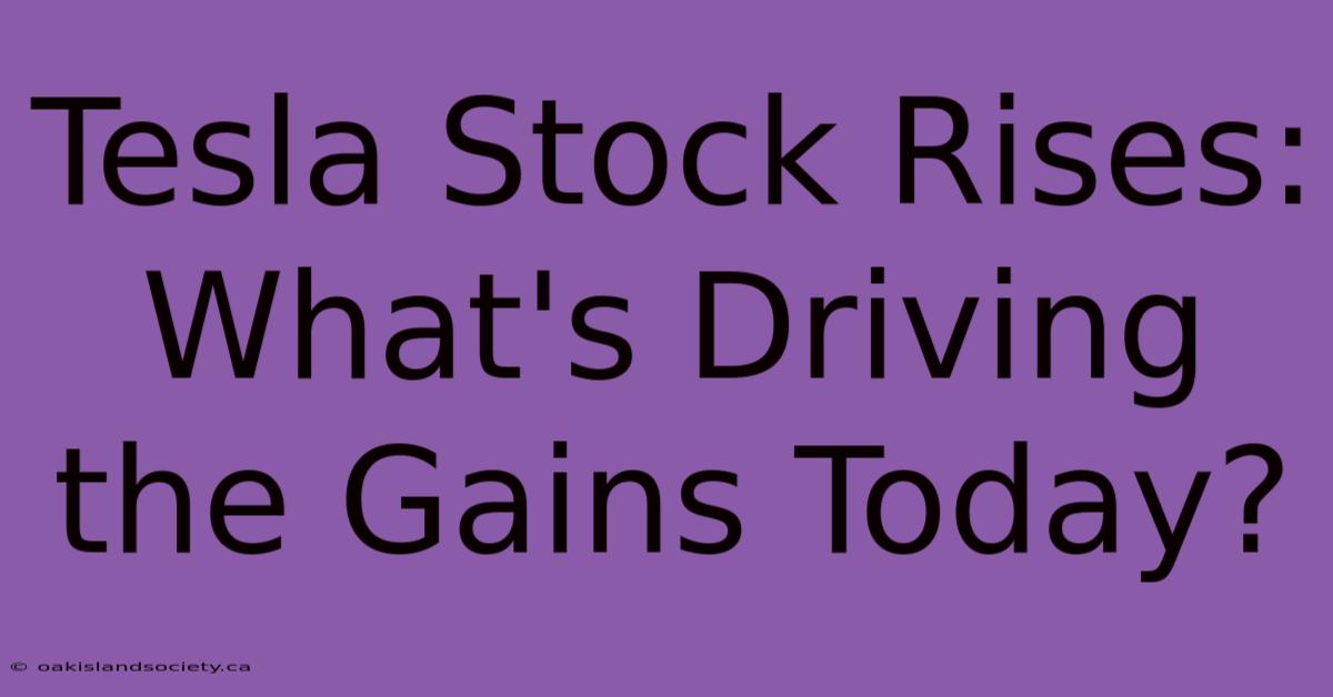 Tesla Stock Rises: What's Driving The Gains Today?