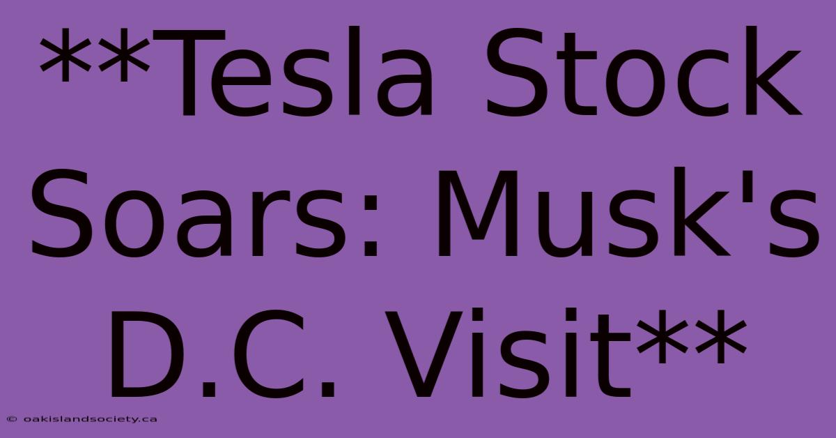 **Tesla Stock Soars: Musk's D.C. Visit** 