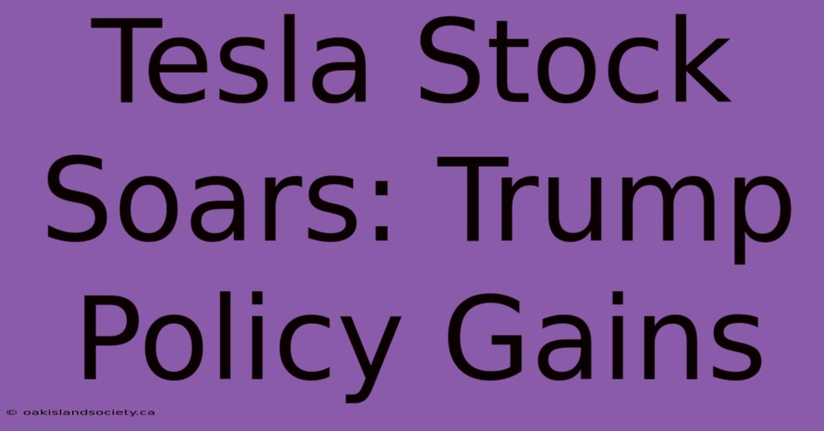 Tesla Stock Soars: Trump Policy Gains 