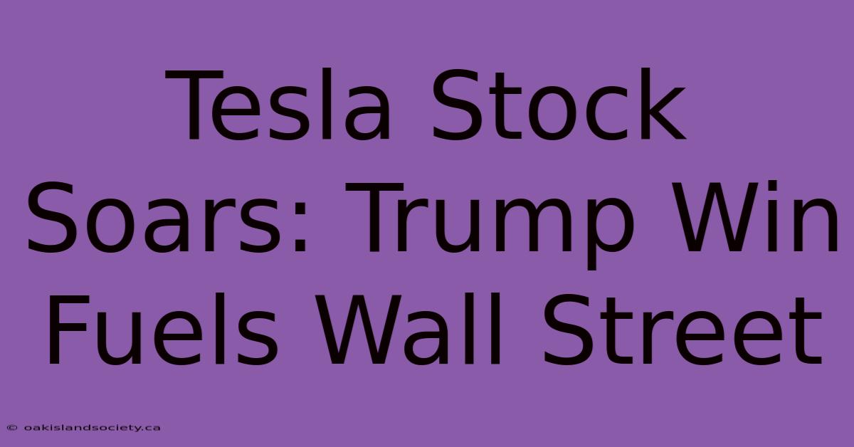 Tesla Stock Soars: Trump Win Fuels Wall Street