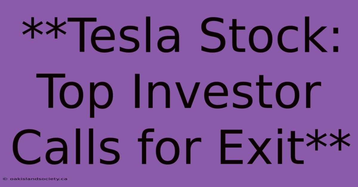 **Tesla Stock: Top Investor Calls For Exit** 