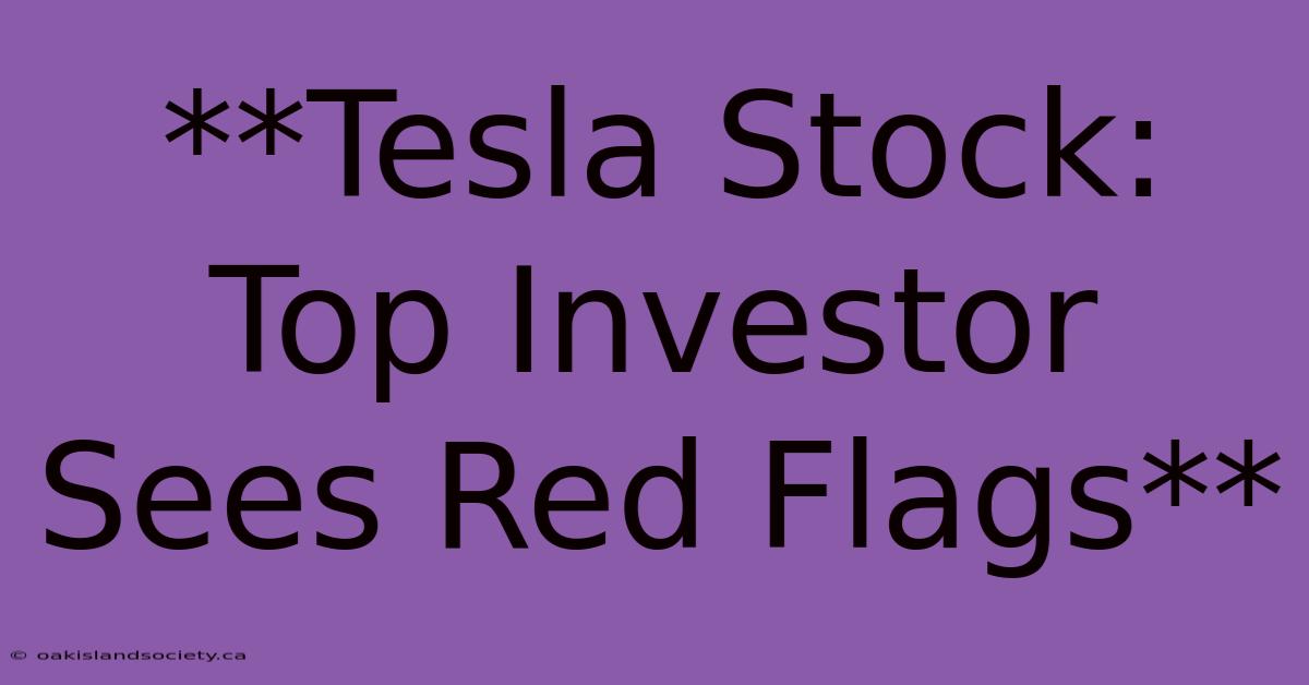 **Tesla Stock: Top Investor Sees Red Flags** 