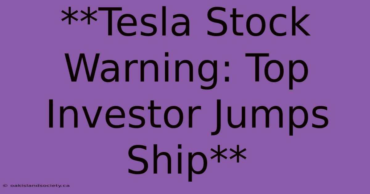 **Tesla Stock Warning: Top Investor Jumps Ship**