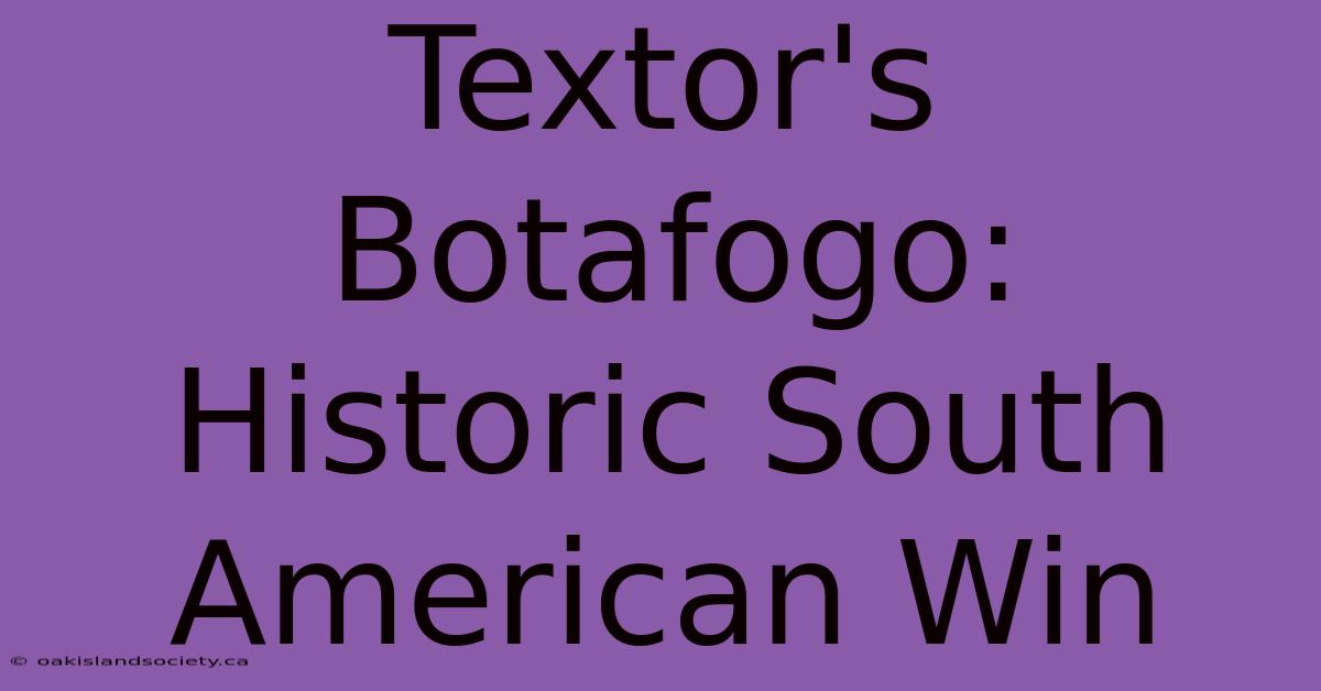 Textor's Botafogo: Historic South American Win