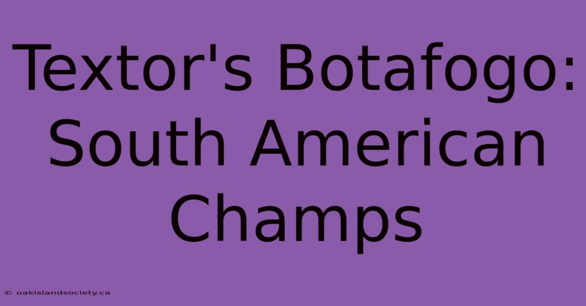 Textor's Botafogo: South American Champs