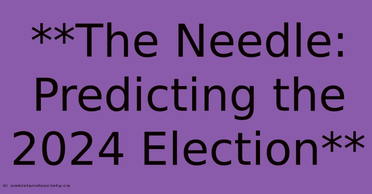 **The Needle: Predicting The 2024 Election** 