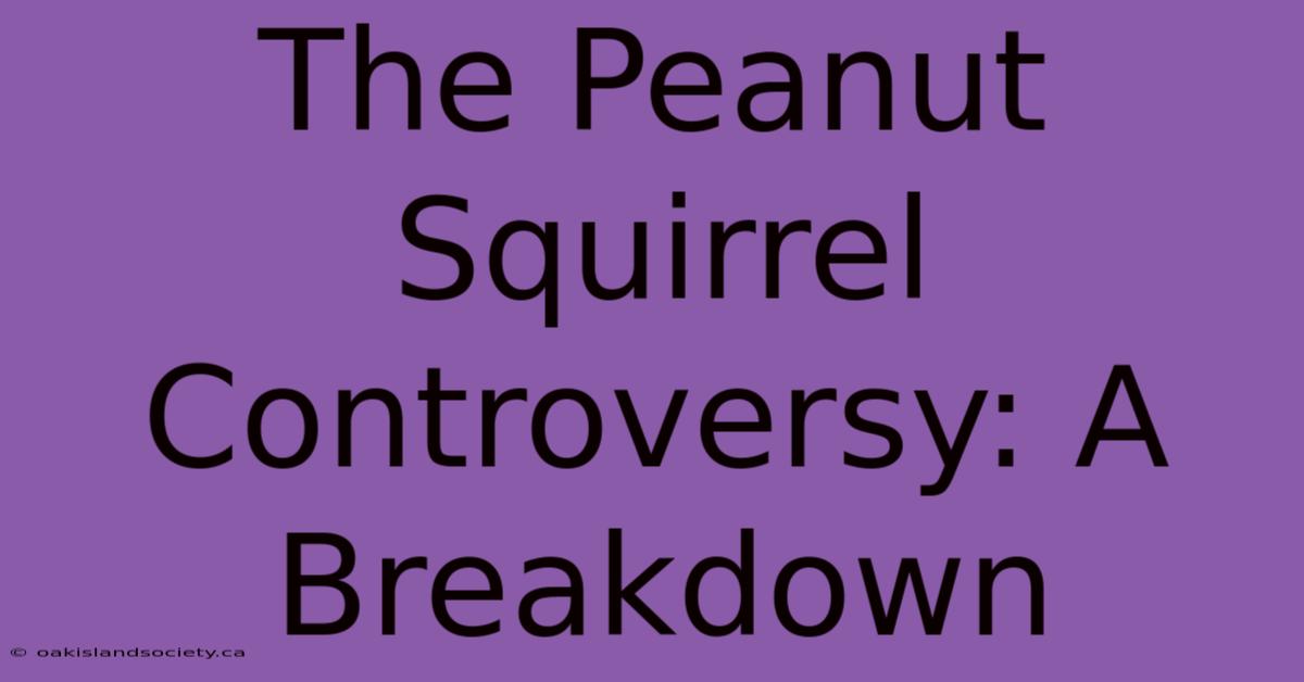 The Peanut Squirrel Controversy: A Breakdown