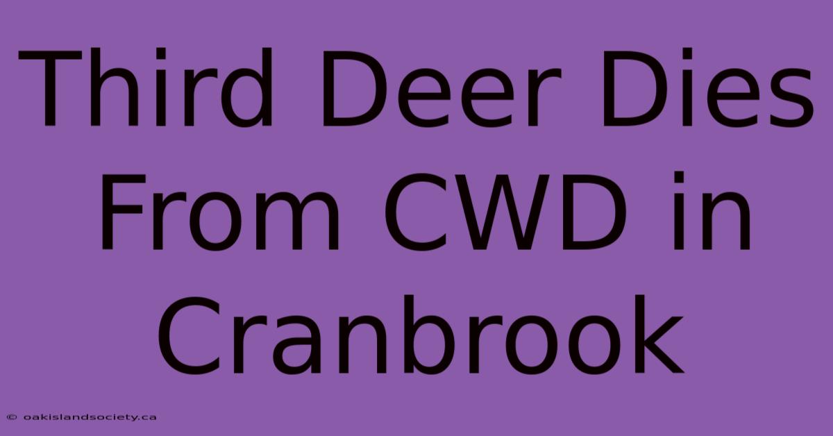 Third Deer Dies From CWD In Cranbrook