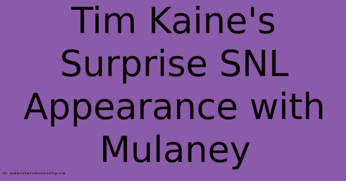 Tim Kaine's Surprise SNL Appearance With Mulaney