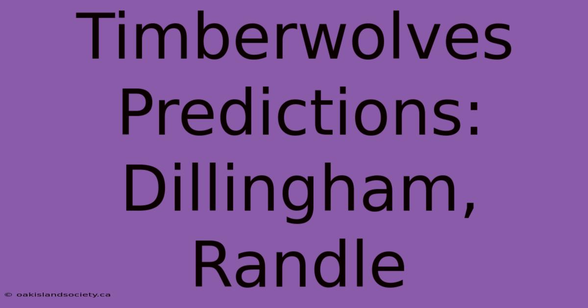 Timberwolves Predictions: Dillingham, Randle