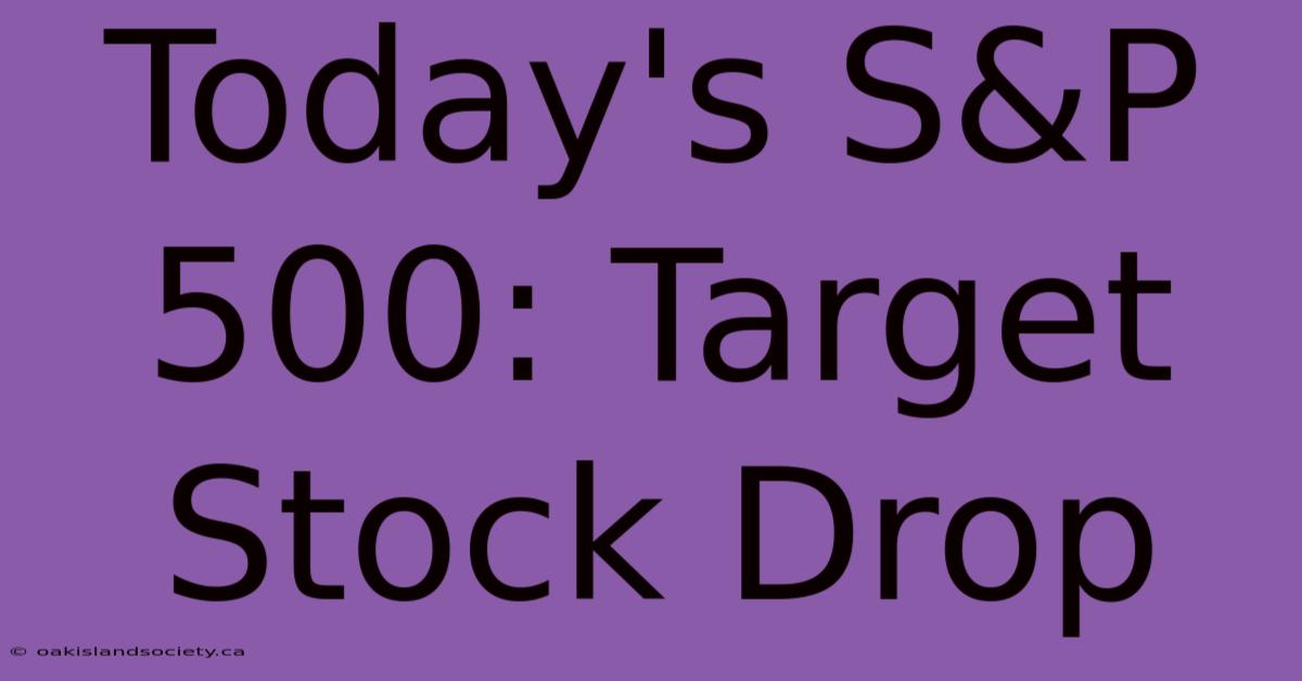 Today's S&P 500: Target Stock Drop