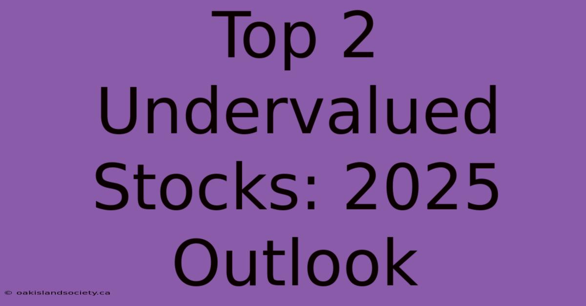 Top 2 Undervalued Stocks: 2025 Outlook