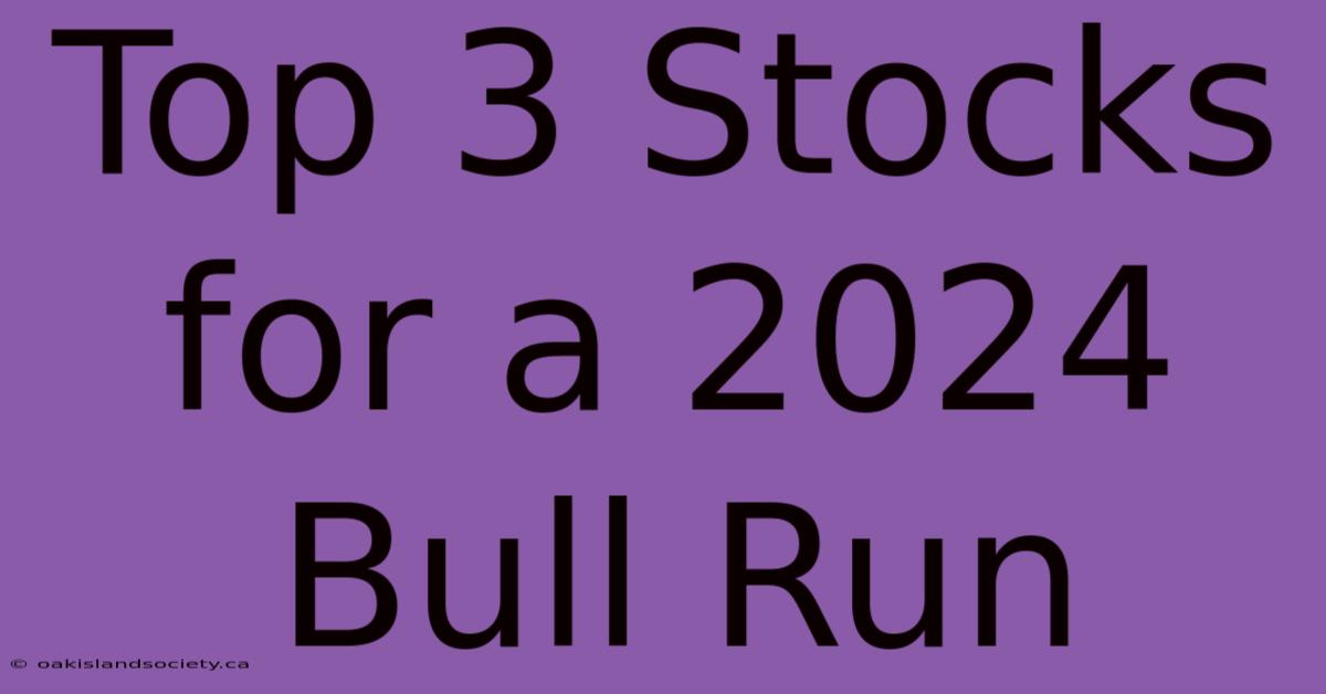 Top 3 Stocks For A 2024 Bull Run