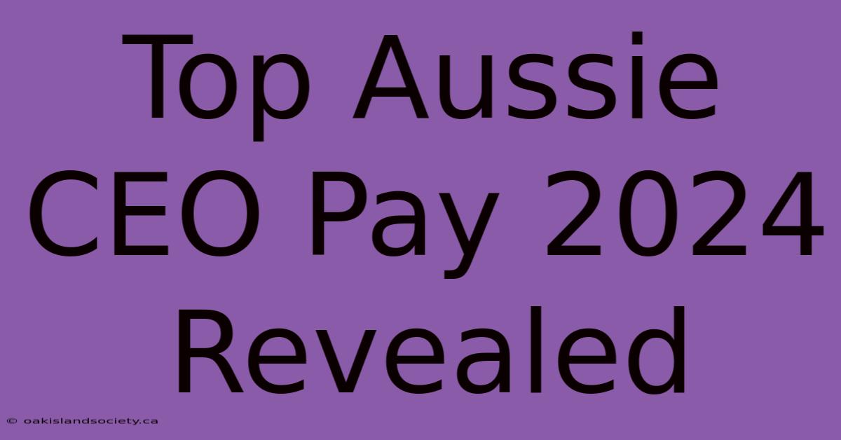 Top Aussie CEO Pay 2024 Revealed