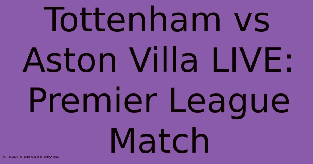 Tottenham Vs Aston Villa LIVE: Premier League Match