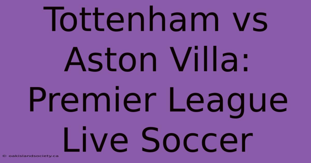 Tottenham Vs Aston Villa: Premier League Live Soccer 