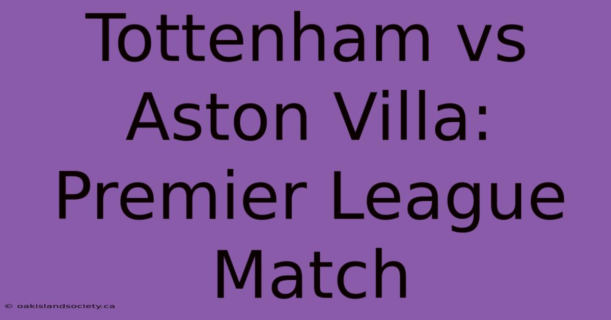 Tottenham Vs Aston Villa: Premier League Match