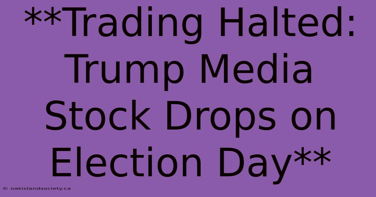 **Trading Halted: Trump Media Stock Drops On Election Day** 