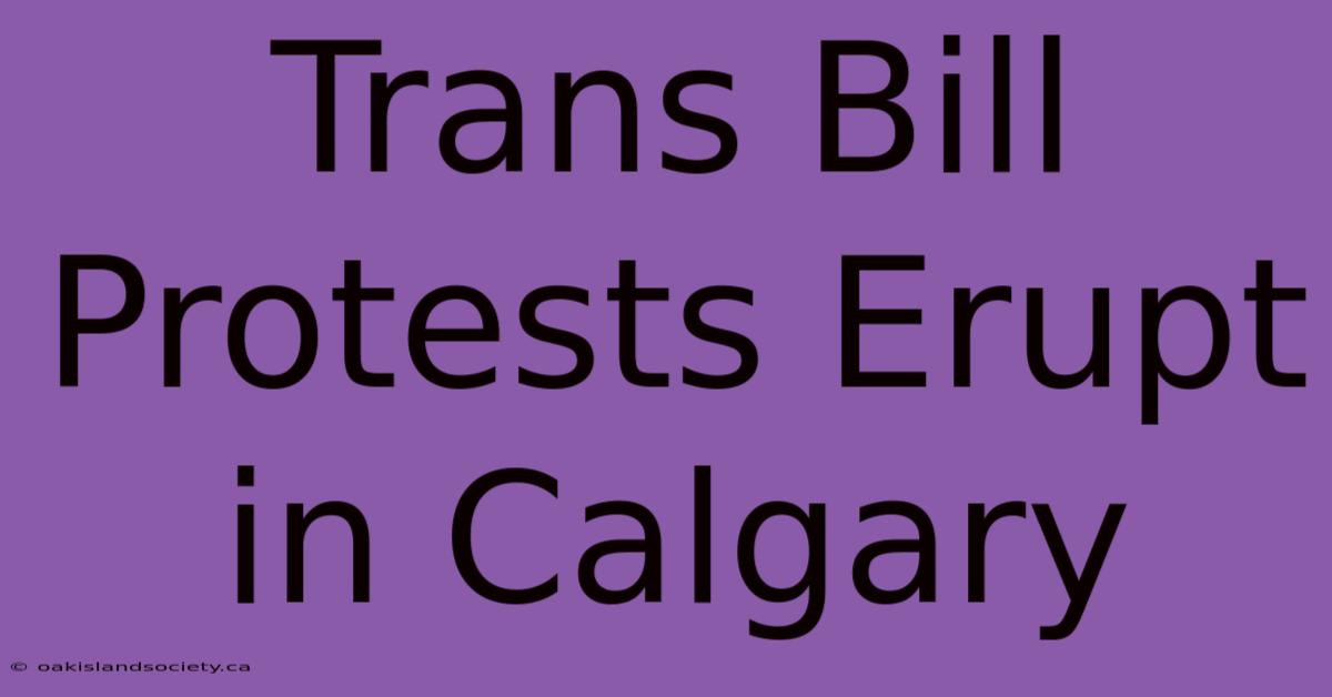 Trans Bill Protests Erupt In Calgary 