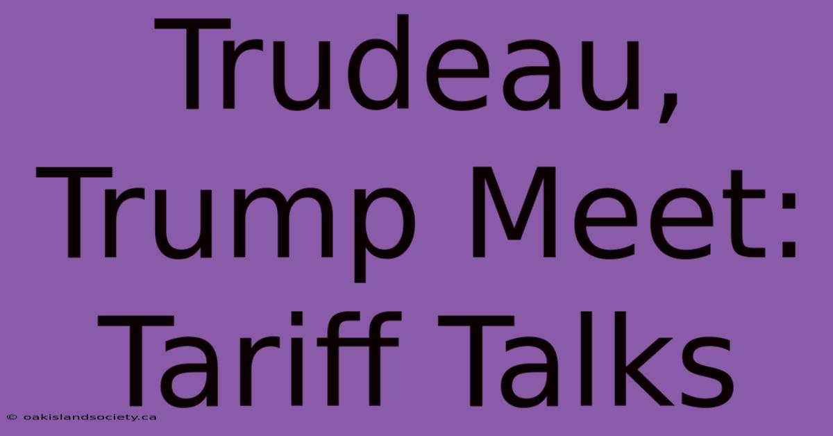 Trudeau, Trump Meet: Tariff Talks