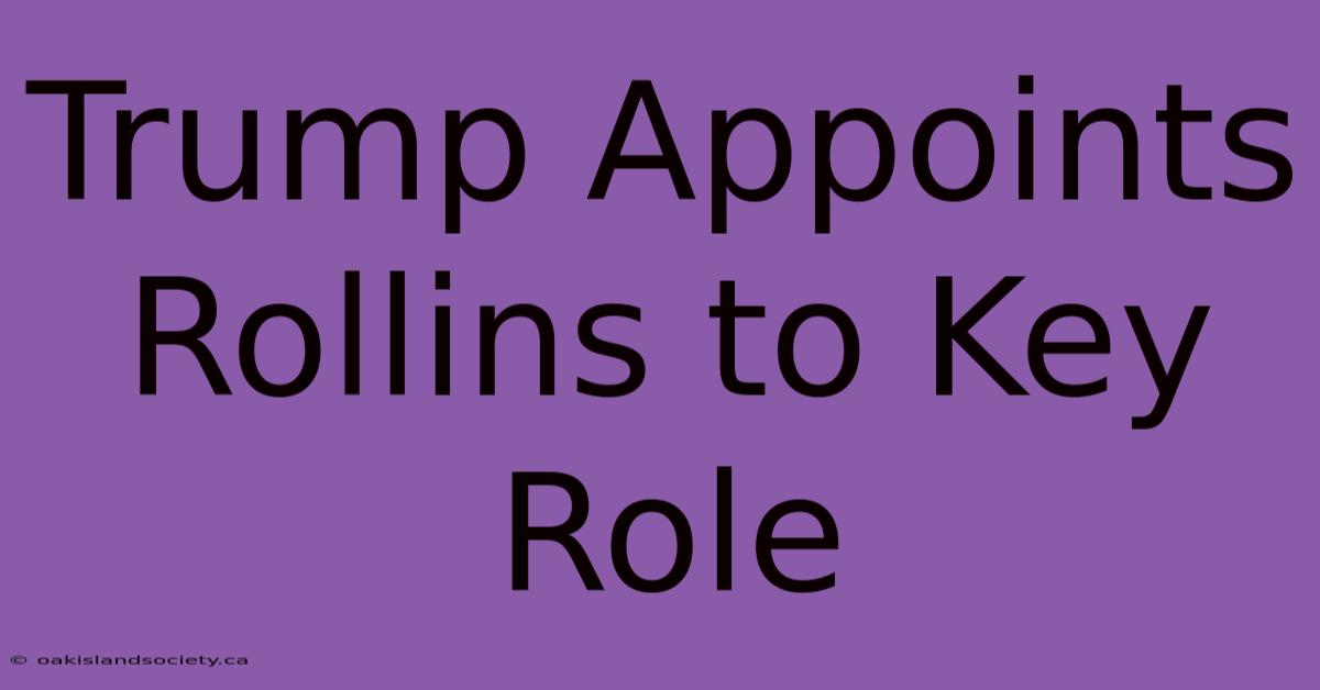 Trump Appoints Rollins To Key Role